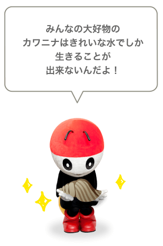 みんなの大好物のカワニナはきれいな水でしか生きることが出来ないんだよ！