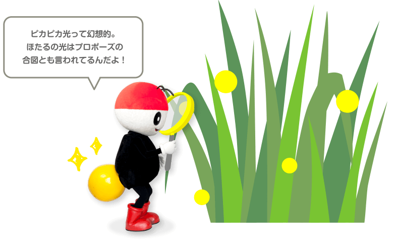 ピカピカ光って幻想的。ほたるの光はプロポーズの合図とも言われてるんだよ！