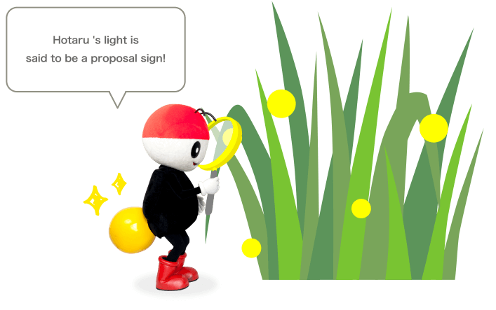 Hotaru 's light is said to be a proposal sign!