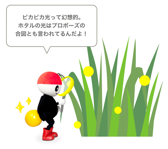 ピカピカ光って幻想的。ほたるの光はプロポーズの合図とも言われてるんだよ！