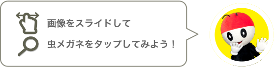 画像をスワイプして虫めがねをタップしてみよう